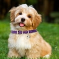 thumbnail image 5 of Qyaukm Adjustable PU Leather Cat Collar with Bell, Soft Kitten Collar for Small Dogs and Puppies, Available in Multiple Colors for Everyday Use, 5 of 9