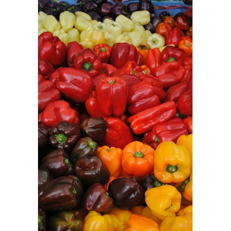 Canvas Print San Francisco Peppers Farmers Market Colorful Food Stretched Canvas 10 x (Best Farmers Market San Francisco)