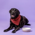thumbnail image 6 of Mason Cash: Heart Paw Pet Bowl - 7", 32oz - Cream & Tan - Durable Ceramic Food-Water Dish, Microwave-Dishwasher Safe, Dog & Cat Meal Feeding-Hydration, 6 of 10