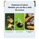 thumbnail image 4 of Kit de Lupa para Observar Insectos Al Aire Libre, Caja para Atrapar Insectos, Jaula para Niños, Herramientas de Exploración de la Naturaleza y la, 4 of 6