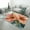 color-3, variant on Flower Carpet for Home Decoration Rugs for Bedroom Room Living Room Bathroom Entrance Door Non-slip Comfort Mat