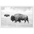 thumbnail image 2 of Marmont Hill "Buffalo Pair" Framed Painting Print, 2 of 6