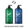 thumbnail image 2 of Gel de baño Botanic Hearth, aceite de árbol de té con menta, 473 ml, 2 of 9