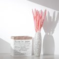 thumbnail image 3 of EIMELI Dried Small Pampas Grass Phragmites Communis Decoration for Home Store Wedding, 3 of 9