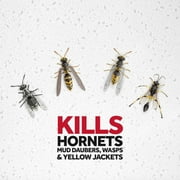 Raid Wasp & Hornet Killer Spray 14 oz