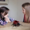 thumbnail image 3 of Paper Three-dimensional Ladybird Puzzle DIY Assembled Insect Children's Toys, 3 of 6