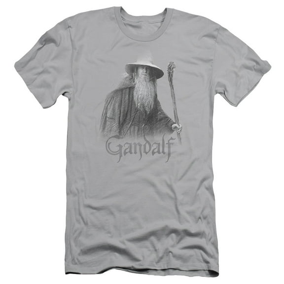 Lord of the Rings Gandalf The Grey S/S Adult 30/1 T-Shirt Silver