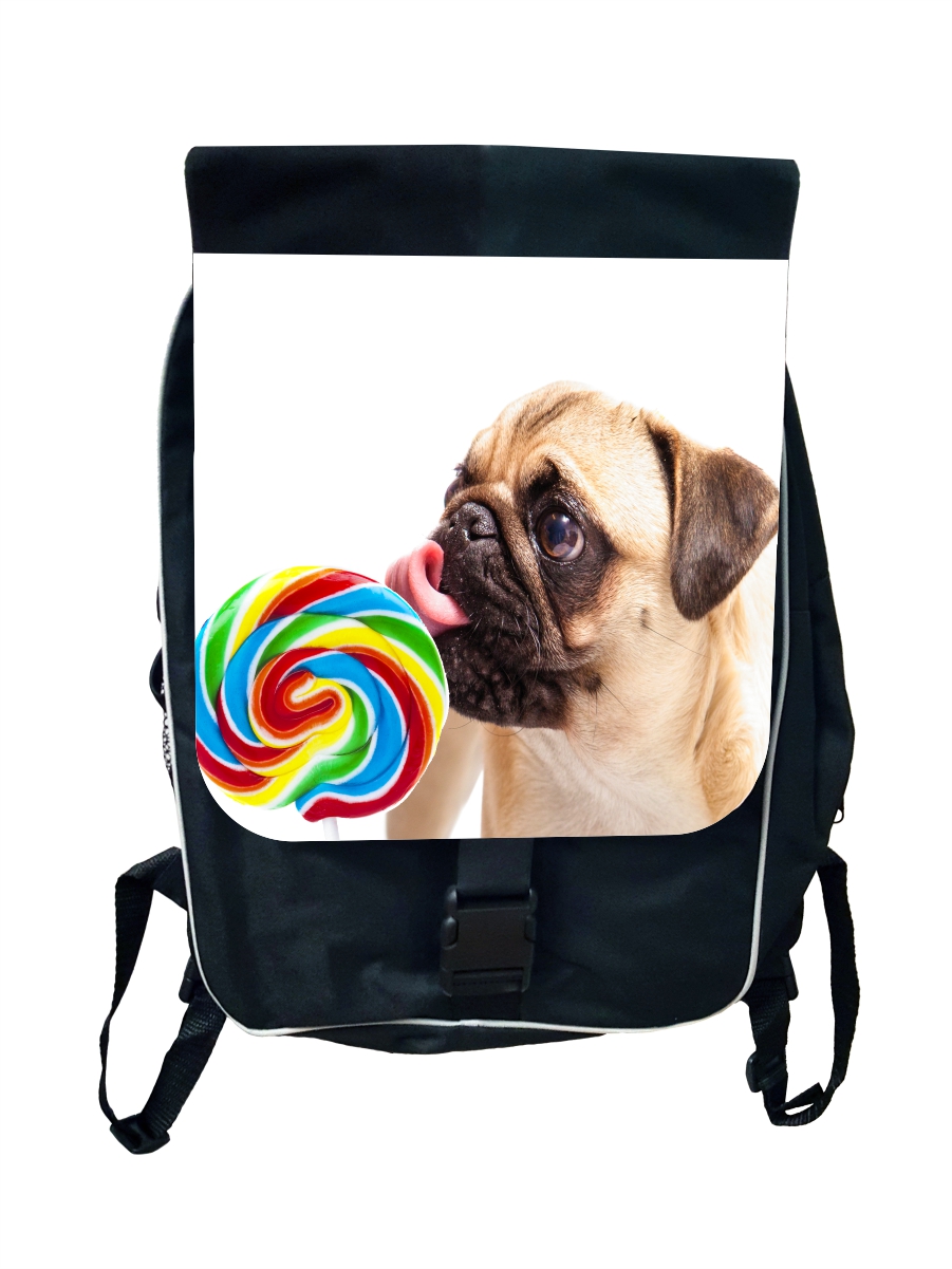Accessory Avenue School Bag Dog Pug Lollipop Large School Backpack