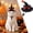 Black1, variant on Witch Cat Dog Halloween Outfit Hat with Bow, Soft Pet Clothes Hats for Cats and Small Dogs, Spandex Form-Fitting Comfort for Parties Parades Photo