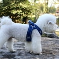 thumbnail image 3 of SPRING PARK Dogs Safety Reflective Adjustable Dog Harness Puppy Pet Vest Leads Set Small Medium, 3 of 7