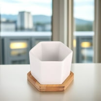 HEMOTON 12 Pcs Terracotta Plant Pots Small Ceramic Succulent Flower