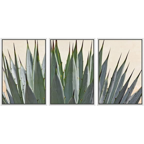 wall26 Framed Canvas Print Wall Art Set Close Up of Spiked Southwestern Cactus Succulent Nature Wilderness Realism Rustic Colorful for Living Room, Bedroom, Office - 24"x36"x3 White