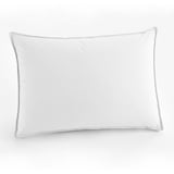 Claritin Standard / Queen Side Sleeper Allergen Barrier Pillow ...