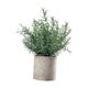 thumbnail image 2 of Plantas artificiales pequeñas en maceta, plantas de imitación en maceta, vegetación decorativa, simulación Hedychium diffusum, 2 of 9