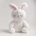thumbnail image 4 of HUASHENG Arrily Calming Arrily Anxiety Arrily Restotter Anxiety Arrily Sleep Double Adjustable Volume Music To Soothe, 4 of 5