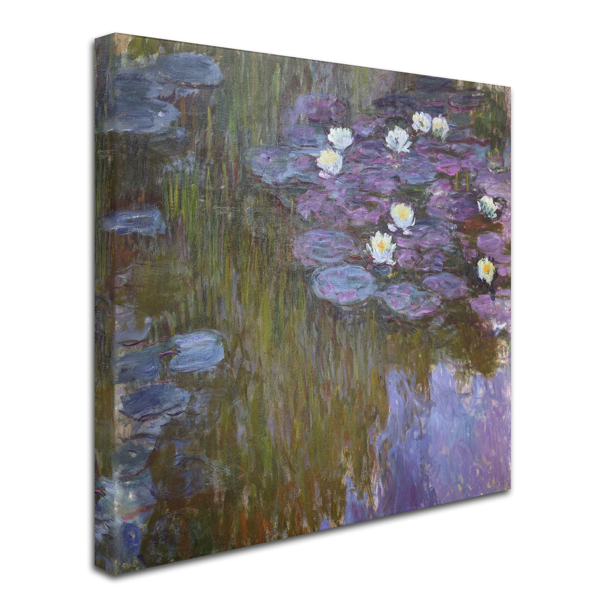 Trademark Fine Art 'Waterlilies I' Canvas Art by Claude Monet