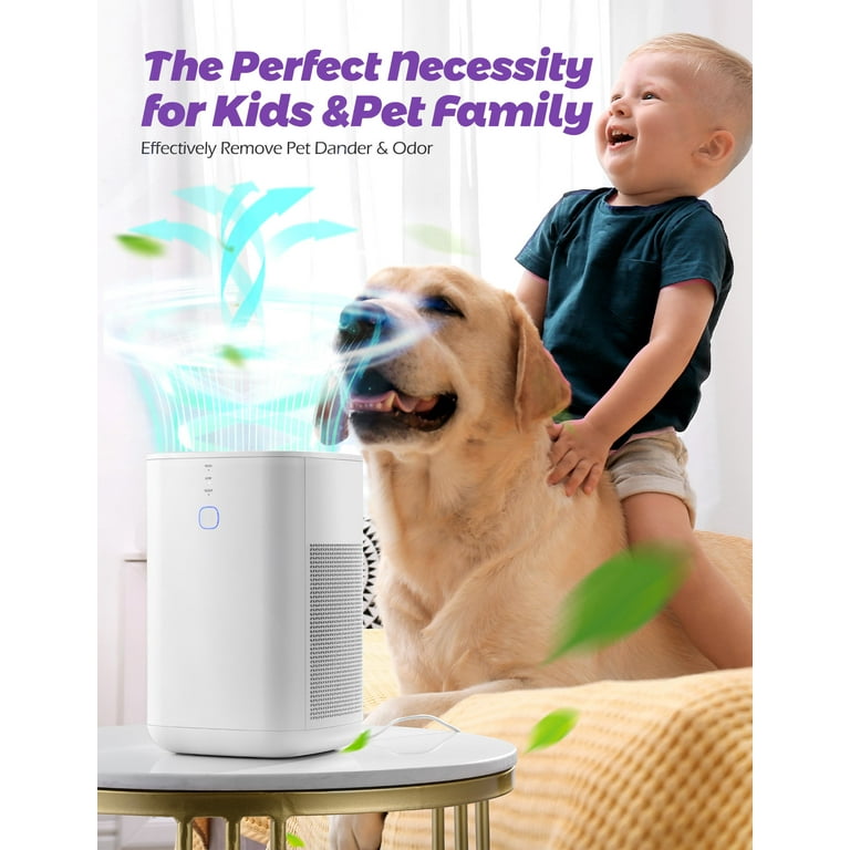 How Do You Remove Dog Hair From Air