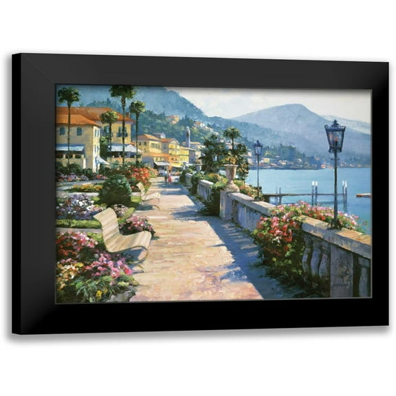 Behrens, Howard 14x12 Black Modern Framed Museum Art Print Titled - Bellagio Promenade