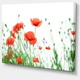 thumbnail image 2 of Fleurs de Pavot sur Fond Blanc - Impression d'Art Floral sur Toile, 2 of 3