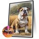 thumbnail image 5 of Pintura De Diamante 5D DIY Kit De Cachorro De Taladro Redondo Completo Decoración Del Hogar 30x40cm, 5 of 9