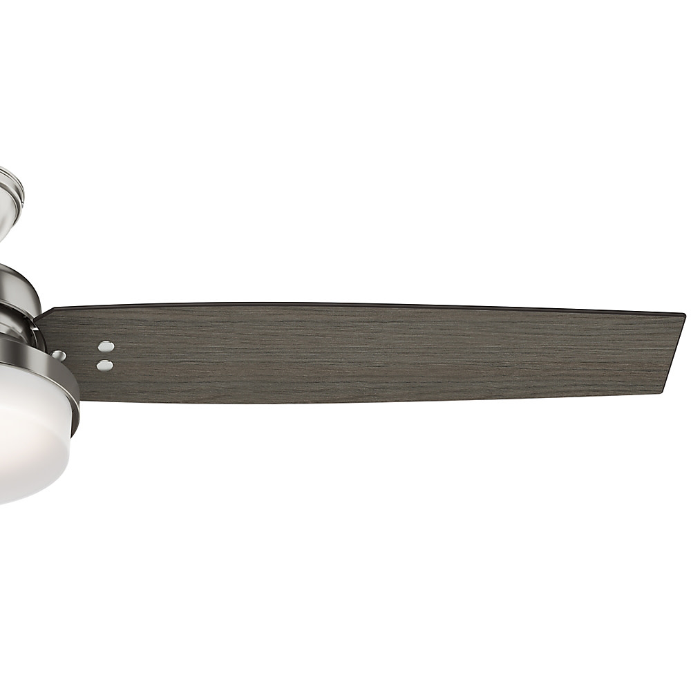 Hunter 60″ Sentinel Brushed Nickel Ceiling Fan with Light Kit and Remote Sansujyuku sansujyuku.com