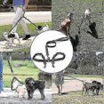 thumbnail image 4 of Double Dog 360tangle-free Leash For 2 Dogs Double Dog Leash, 4 of 5