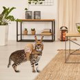 thumbnail image 6 of Snail Cosplay Costume for Small Cats and Dogs, Party Outfit for Halloween and Christmas Celebration, 6 of 6