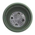 thumbnail image 6 of Bloem Ariana 10" Self-Watering Plastic Planter - Rolled Rim Indoor/Outdoor Garden Pot, Basil, 4-Pack, 6 of 8