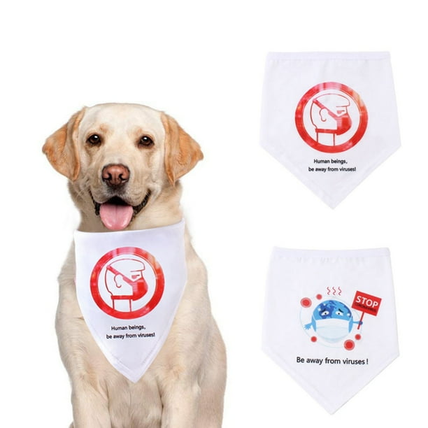 Dog with neckerchief hotsell