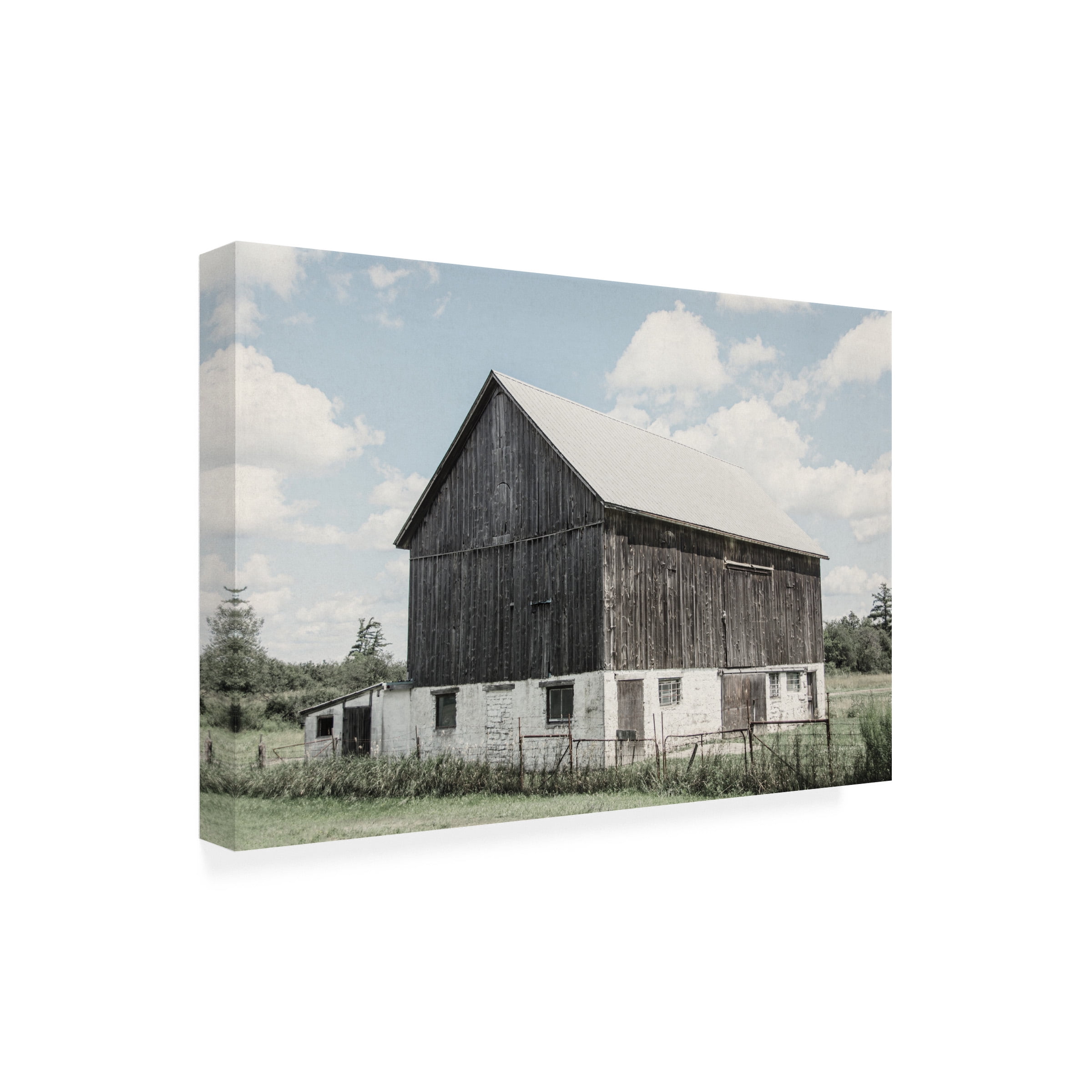 Elizabeth Urquhart 'Weathered IV' Canvas Art