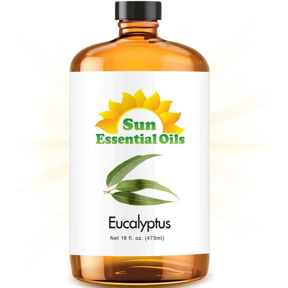 Eucalyptus Essential Oil (Huge 16oz Bottle) Bulk Eucalyptus Oil 16