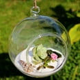 thumbnail image 4 of 10 pc Transparent Wall Hanging Glass Ball Planter Terrarium Container Vase Flat Base Perfect for Home Decoration Round Clear 80x90mm Hole: 6mm Inner Diameter: 50mm, 4 of 5
