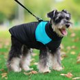 thumbnail image 2 of Ropa para perros, ropa para mascotas de otoño e invierno, chaleco de algodón grueso para perros, ropa para mascotas, 2 of 5