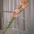 thumbnail image 5 of Jarrón de flores único, diseño lindo y compacto para la decoración del hogar, material acrílico transparente resistente a las caídas, ideal para la selección de flores, jarrón versátil para fiestas,, 5 of 5