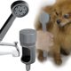 thumbnail image 1 of Accesorio de ducha para mascotas YOO.MEE con caño para bañera con desviador frontal, 1 of 6