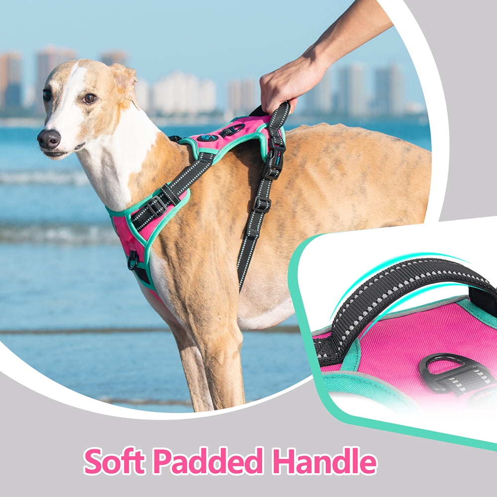 PHOEPET 2019 Upgraded No Pull Dog Harness, Reflective Adjustable Vest, with a Training Handle + 2 Metal Leash Hooks+ 3 Snap Buckles +4 Slide Buckles