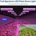 Lapalife LED Grow Light Panel, 192LED 1000W Full Spectrum Dual Switch Veg and Bloom LED Plant