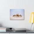 thumbnail image 3 of Majestic Crab Art Majestic Crab Print Animal Wall Art Wildlife Canvas Prints Wall Art Ready to Hang Unframed, 3 of 18