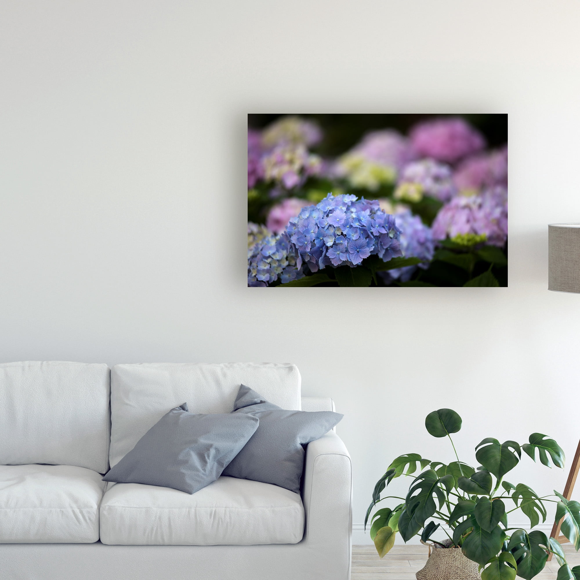 Trademark Fine Art 'Blooming Hydrangea' Canvas Art by Kurt Shaffer
