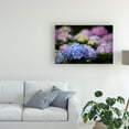 thumbnail image 3 of Trademark Fine Art 'Blooming Hydrangea' Canvas Art by Kurt Shaffer, 3 of 4