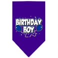 thumbnail image 1 of Birthday Boy Screen Print Bandana Purple Large, 1 of 1