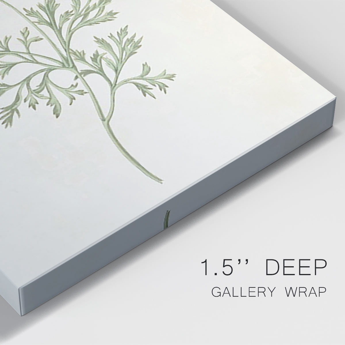 Flowers of the Seasons IX Premium Gallery Wrapped Canvas - Ready to Hang