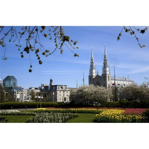 Major Hill Park Tulip Festival Ottawa Ontario Canada Poster Print by David Chapman, 18 x 12