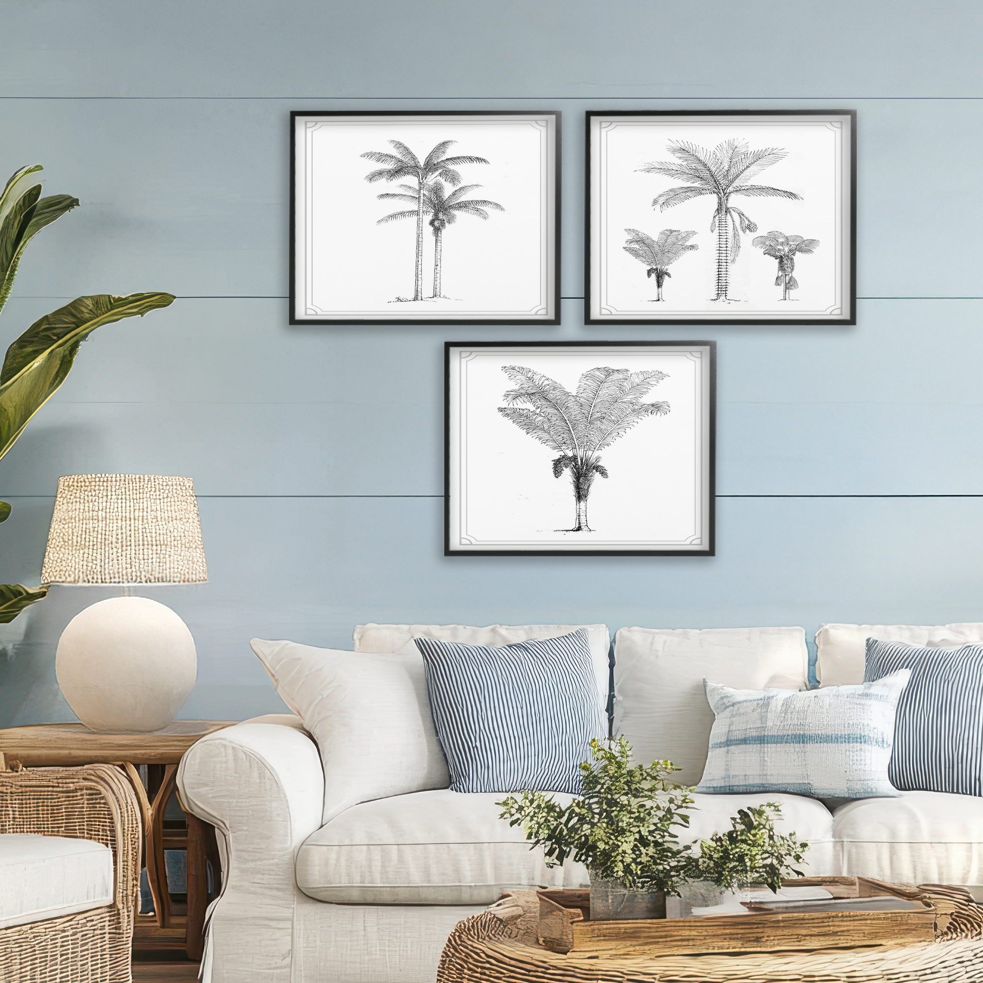 Minimal Vintage Palm Tree Sketches 3 Piece Black Framed Giclee Art Set, design by Lettered and Lined