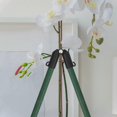 thumbnail image 2 of Adjustable Plastic Trellis Clip Stakes 10pcs B-type Connector Buckle Gardening Stakes For Tomatoes Trees Cucumber Fences Beans Vegetable Trellis Plan, 2 of 3