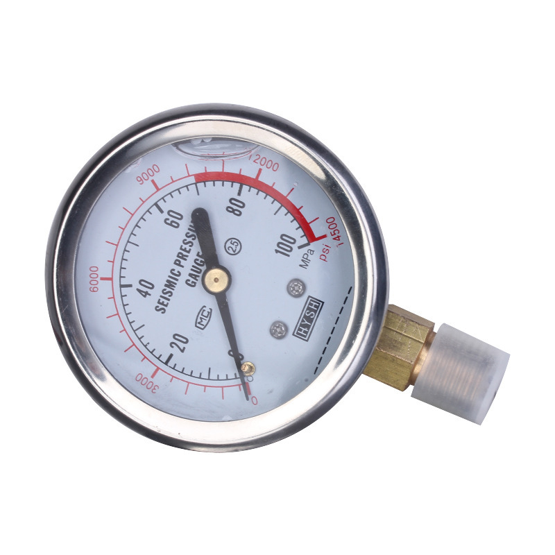 Homeex Small Single And Double Circuit Pressure Hydraulic Watch