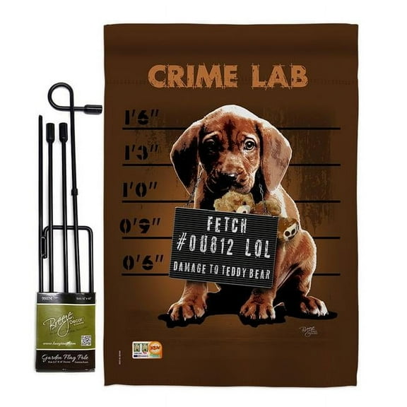 Breeze Decor BD-PT-GS-110002-IP-BO-D-US15-SB 13 x 18.5 in. Crime Lab Nature Pets Vertical Double Sided Mini Garden Flag Set with Banner Pole