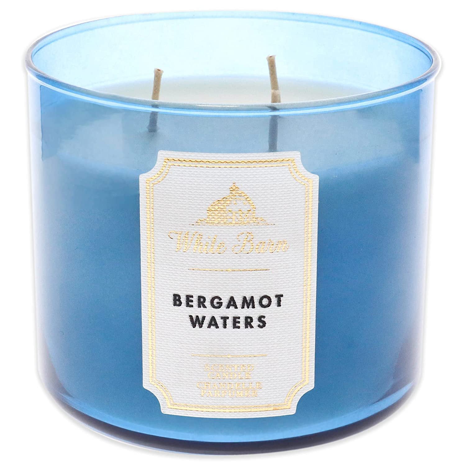 NEW BATH & BODY WORKS THE GREAT OUTDOORS SCENTED CANDLE 3 WICK 14.5OZ LARGE BLUE 