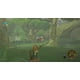 Jeu vidéo The Legend of Zelda Breath of the Wild pour Wii U – image 3 sur 4