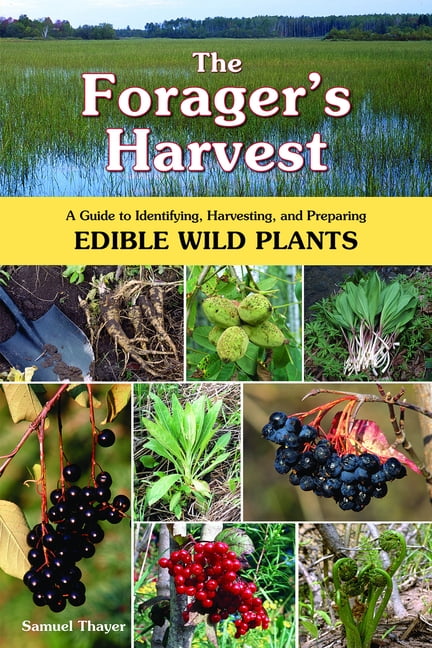 Edible Wild Plant ID Cards 72 Hour Bug Out Bag Foraging Prepper Supplies Gear 